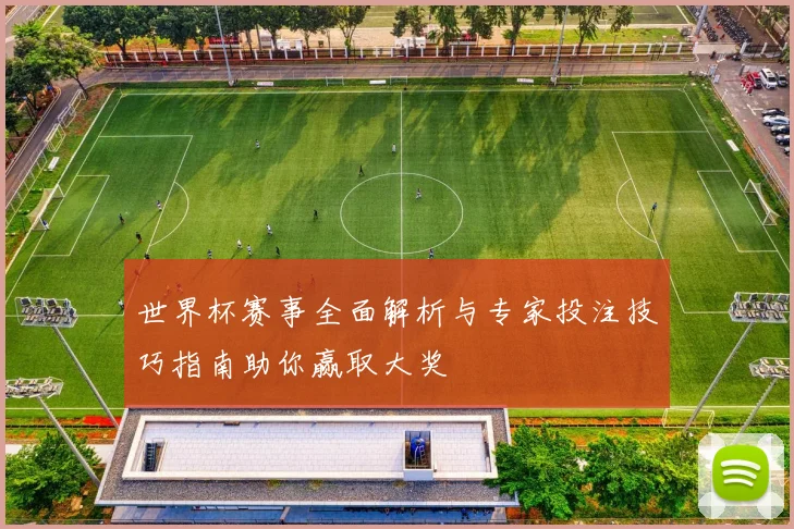 世界杯赛事全面解析与专家投注技巧指南助你赢取大奖