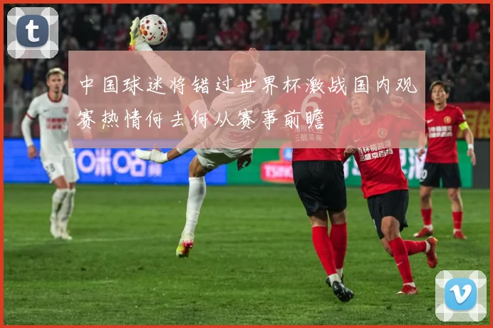 中国球迷将错过世界杯激战国内观赛热情何去何从赛事前瞻