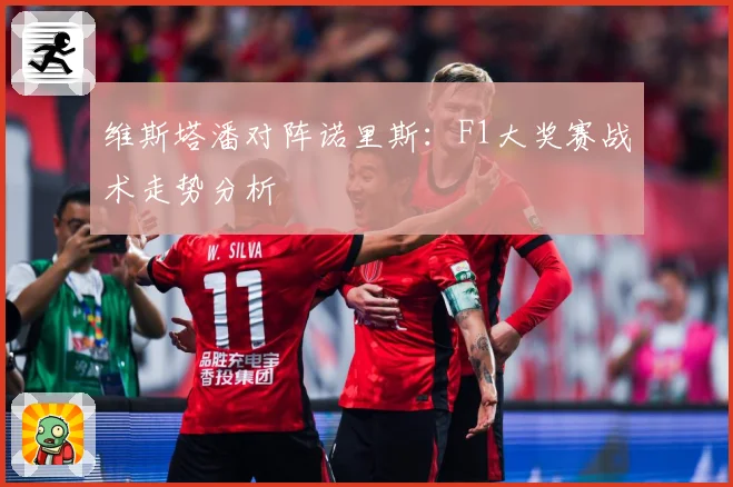 维斯塔潘对阵诺里斯：F1大奖赛战术走势分析