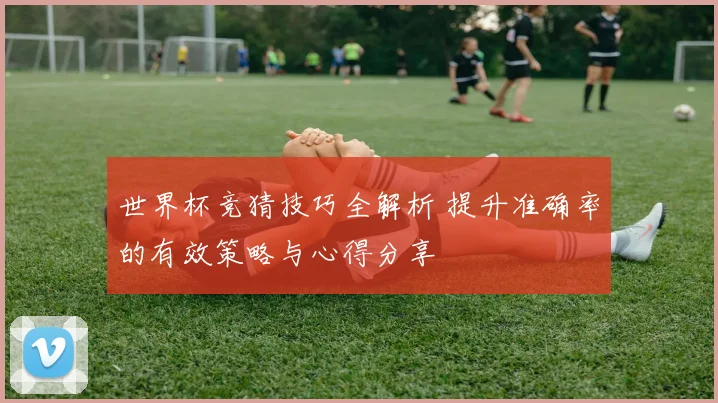 世界杯竞猜技巧全解析 提升准确率的有效策略与心得分享