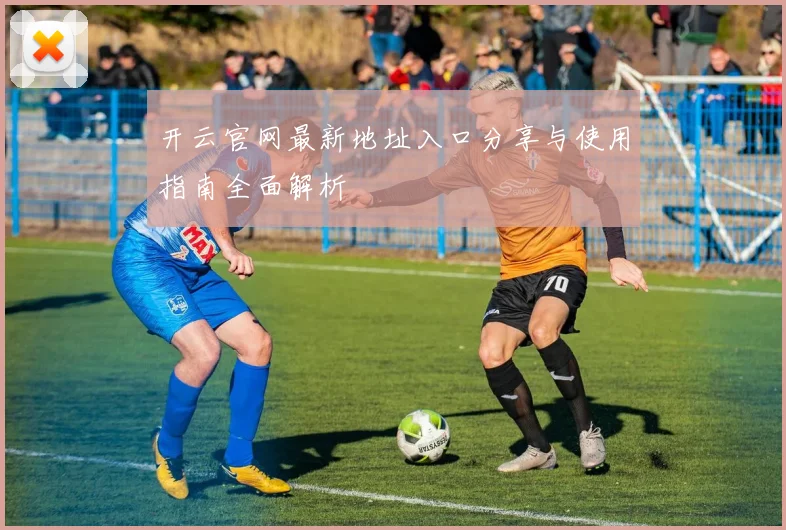 开云官网最新地址入口分享与使用指南全面解析