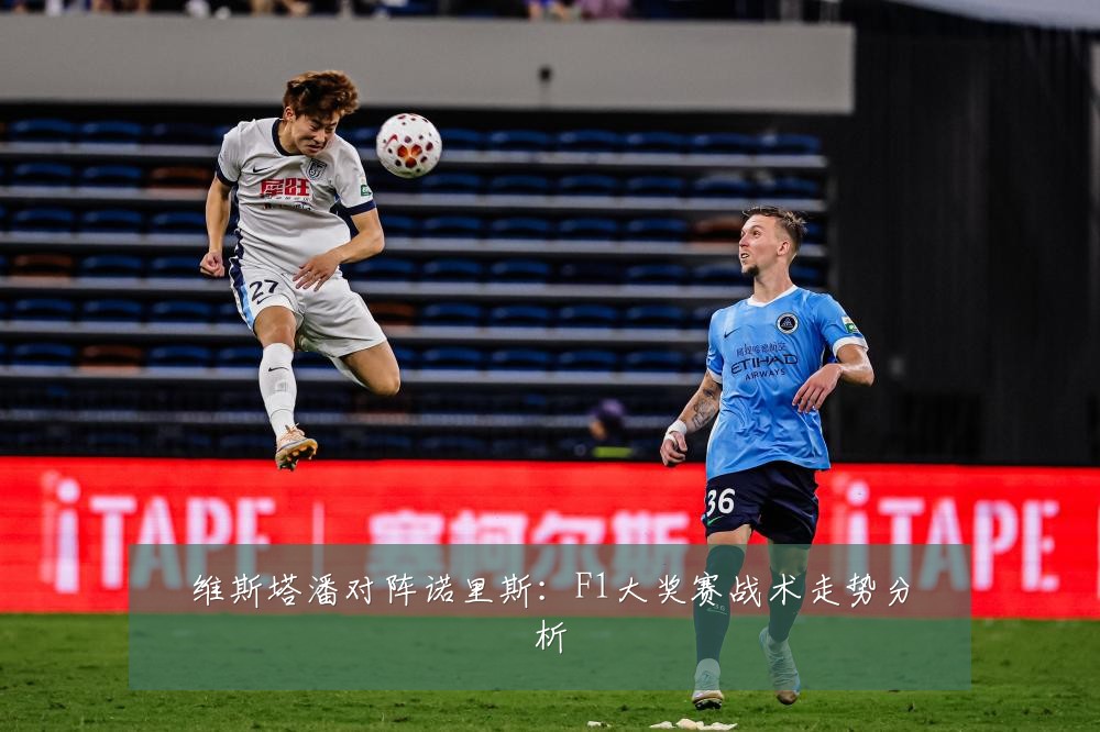 维斯塔潘对阵诺里斯:F1大奖赛战术走势分析