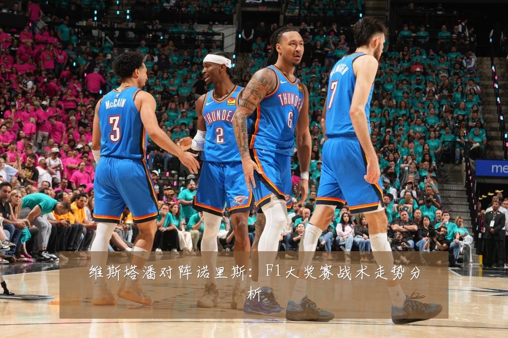 维斯塔潘对阵诺里斯:F1大奖赛战术走势分析