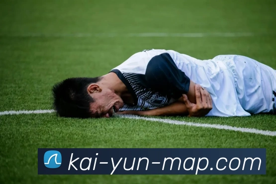 开云平台展示图