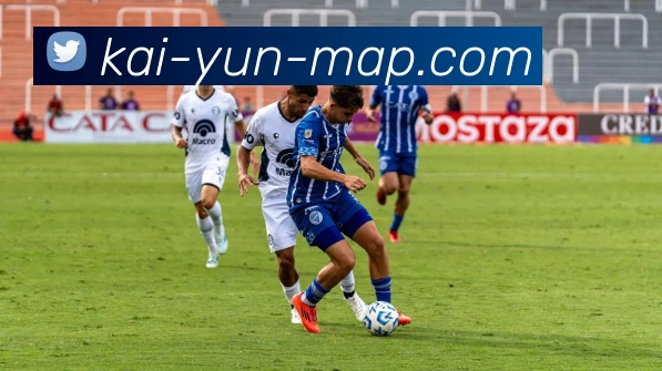 开云官网全站App